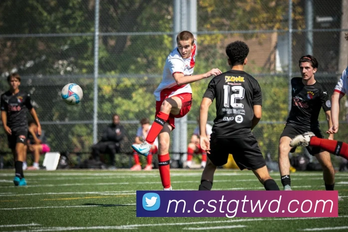 App Interface Preview